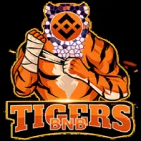 BNBTigers Logo