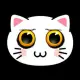 Kiki Cat