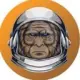 KingApe