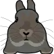 Sven The Bunny