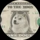 OneDogeDollar