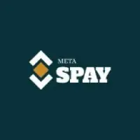 METASPAY Logo