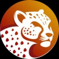 Cheetah Coin Logo