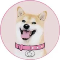 DogeGF Logo