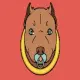 Pitbullcoin