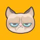 Ponzio The Cat