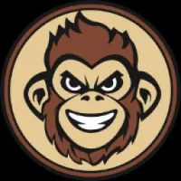 The APE Token Logo