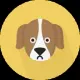 Ever Doge Coin