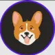Baby dingo COIN