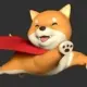 Shiba Hero