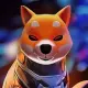 Shib In Token
