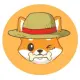 Monkey D. Shiba