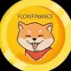 FlokiFinance