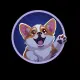 Doge Mascot