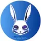 Bunny AI