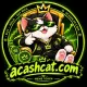 Artificial Cashcat