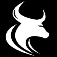 BullDao Logo