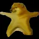 CheemsStar