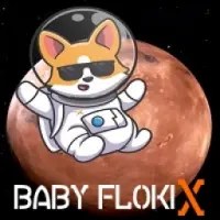 Baby FlokiX Logo