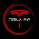 TESLA PAYMENT