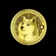 DOGE PAY