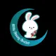 Little Bunny Rocket