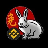 BNB RABBIT BSC Logo