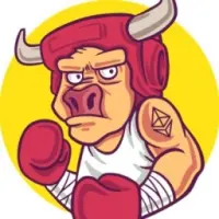 BULL FIGHT Logo