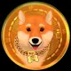 BRAVE DOGE