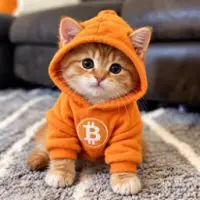 CAT BITCOIN Logo