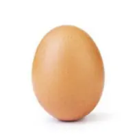 World Record Egg Token Logo