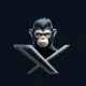 X KONG