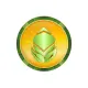 Solaris Green Coin