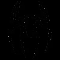 SpiderDefi Logo