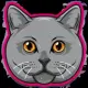 Korat