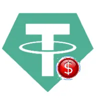 Tether USD USA Logo