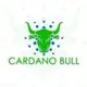 CARDANO BULL