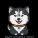 BABY POMSKY COIN