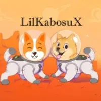LilKabosuX Logo