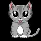 Mini Baby Cat