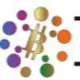 BDCC COIN