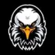 EagleFinance