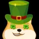 CloverDoge