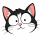 Spencers Cat