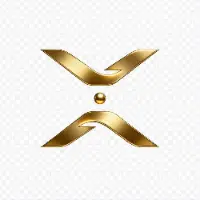 XVO Logo