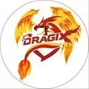 DRAGIX TOKEN Logo