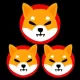 Multi Shiba