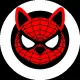 SpiderShiba