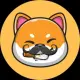 Gipsy DOGE