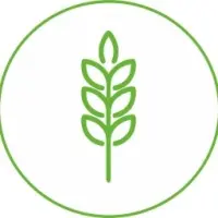 SMART GRAIN COIN Logo